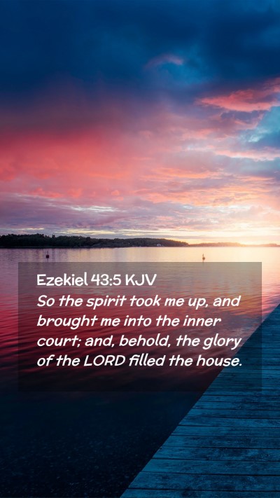Picture 02 - Ezekiel 43:5 KJV Mobile Phone Wallpaper - So the spirit took me up, and brought me into the - Mobile Bible Verse Wallpaper