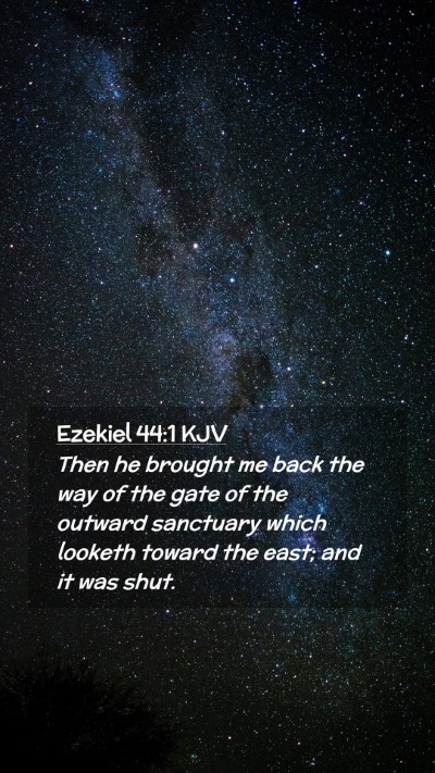 Picture 02 - Ezekiel 44:1 KJV Mobile Phone Wallpaper - Then he brought me back the way of the gate of - Mobile Bible Verse Wallpaper