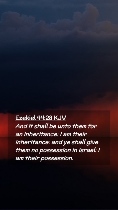 Picture 02 - Ezekiel 44:28 KJV Mobile Phone Wallpaper - And it shall be unto them for an inheritance: I - Mobile Bible Verse Wallpaper
