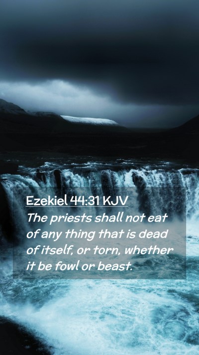 Picture 02 - Ezekiel 44:31 KJV Mobile Phone Wallpaper - The priests shall not eat of any thing that is - Mobile Bible Verse Wallpaper