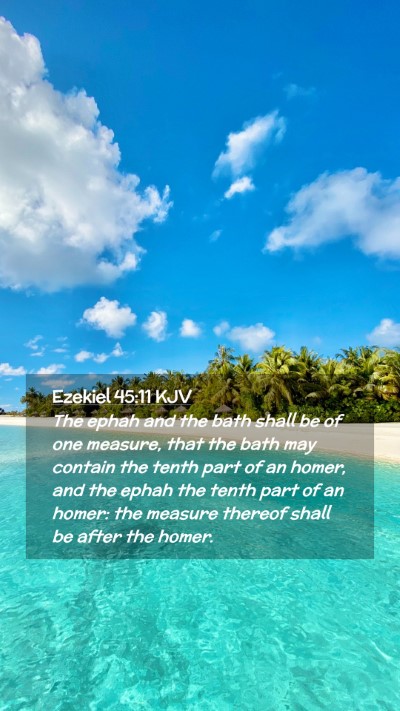 Picture 02 - Ezekiel 45:11 KJV Mobile Phone Wallpaper - The ephah and the bath shall be of one measure, - Mobile Bible Verse Wallpaper