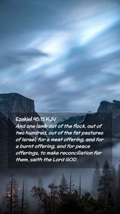 Picture 02 - Ezekiel 45:15 KJV Mobile Phone Wallpaper - And one lamb out of the flock, out of two - Mobile Bible Verse Wallpaper