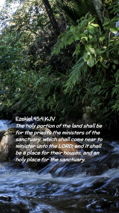 Picture 02 - Ezekiel 45:4 KJV Mobile Phone Wallpaper - The holy portion of the land shall be for the - Mobile Bible Verse Wallpaper