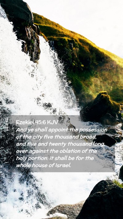Picture 02 - Ezekiel 45:6 KJV Mobile Phone Wallpaper - And ye shall appoint the possession of the city - Mobile Bible Verse Wallpaper