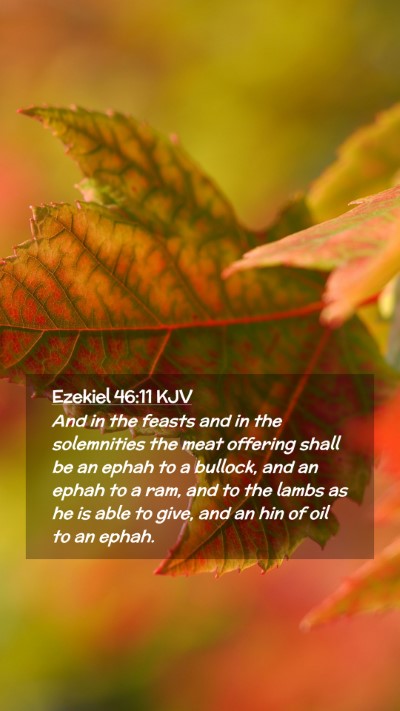 Picture 02 - Ezekiel 46:11 KJV Mobile Phone Wallpaper - And in the feasts and in the solemnities the meat - Mobile Bible Verse Wallpaper