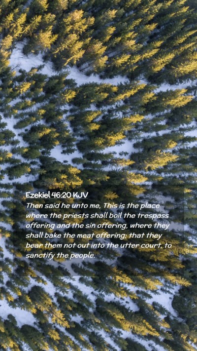 Picture 02 - Ezekiel 46:20 KJV Mobile Phone Wallpaper - Then said he unto me, This is the place where the - Mobile Bible Verse Wallpaper