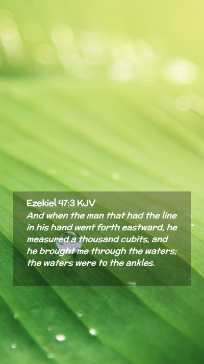Picture 02 - Ezekiel 47:3 KJV Mobile Phone Wallpaper - And when the man that had the line in his hand - Mobile Bible Verse Wallpaper