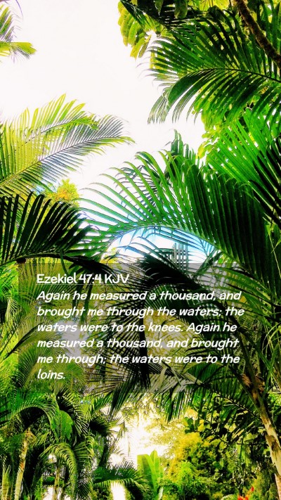 Picture 02 - Ezekiel 47:4 KJV Mobile Phone Wallpaper - Again he measured a thousand, and brought me - Mobile Bible Verse Wallpaper