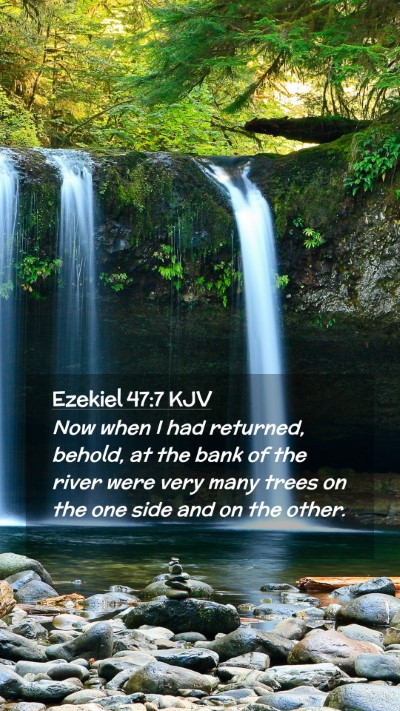 Picture 02 - Ezekiel 47:7 KJV Mobile Phone Wallpaper - Now when I had returned, behold, at the bank of - Mobile Bible Verse Wallpaper