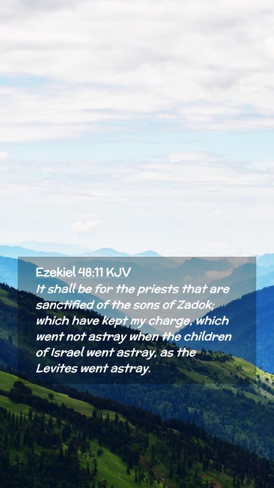 Picture 02 - Ezekiel 48:11 KJV Mobile Phone Wallpaper - It shall be for the priests that are sanctified - Mobile Bible Verse Wallpaper