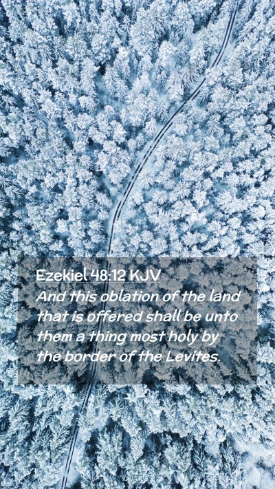 Picture 02 - Ezekiel 48:12 KJV Mobile Phone Wallpaper - And this oblation of the land that is offered - Mobile Bible Verse Wallpaper