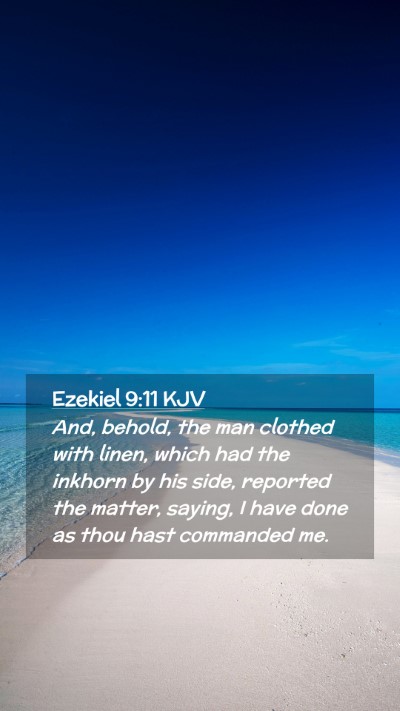 Picture 02 - Ezekiel 9:11 KJV Mobile Phone Wallpaper - And, behold, the man clothed with linen, which - Mobile Bible Verse Wallpaper