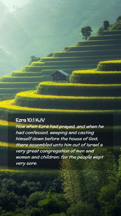 Picture 02 - Ezra 10:1 KJV Mobile Phone Wallpaper - Now when Ezra had prayed, and when he had - Mobile Bible Verse Wallpaper