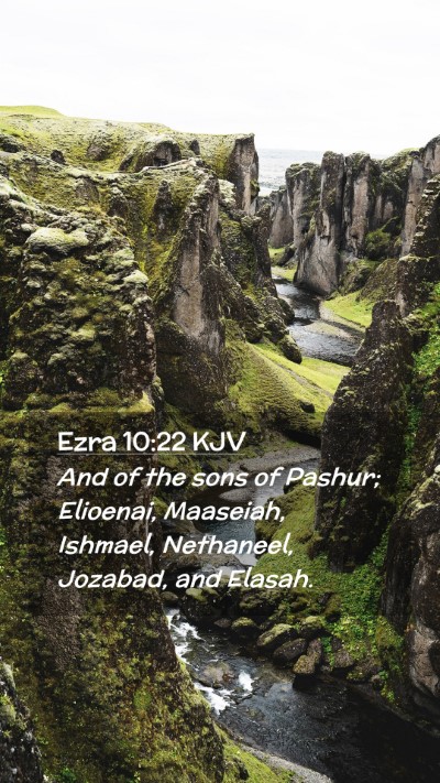 Picture 02 - Ezra 10:22 KJV Mobile Phone Wallpaper - And of the sons of Pashur; Elioenai, Maaseiah, - Mobile Bible Verse Wallpaper