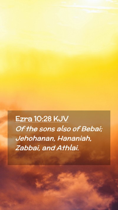 Picture 02 - Ezra 10:28 KJV Mobile Phone Wallpaper - Of the sons also of Bebai; Jehohanan, Hananiah, - Mobile Bible Verse Wallpaper