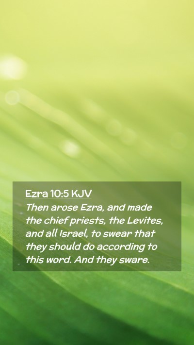 Picture 02 - Ezra 10:5 KJV Mobile Phone Wallpaper - Then arose Ezra, and made the chief priests, the - Mobile Bible Verse Wallpaper