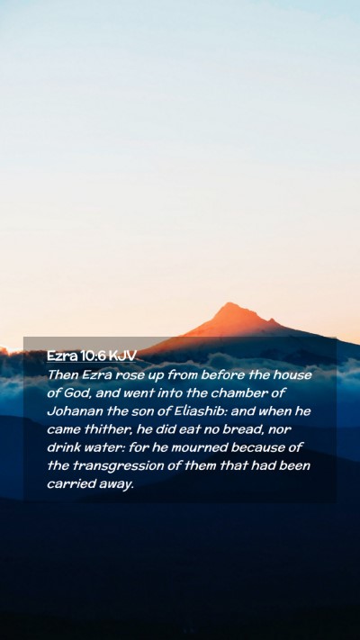 Picture 02 - Ezra 10:6 KJV Mobile Phone Wallpaper - Then Ezra rose up from before the house of God, - Mobile Bible Verse Wallpaper