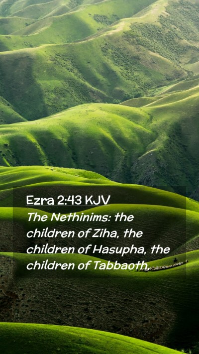Picture 02 - Ezra 2:43 KJV Mobile Phone Wallpaper - The Nethinims: the children of Ziha, the children - Mobile Bible Verse Wallpaper