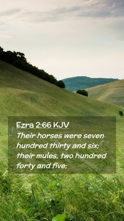 Picture 02 - Ezra 2:66 KJV Mobile Phone Wallpaper - Their horses were seven hundred thirty and six; - Mobile Bible Verse Wallpaper