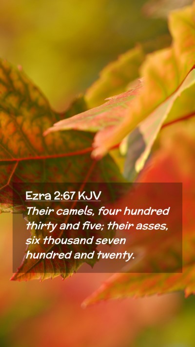 Picture 02 - Ezra 2:67 KJV Mobile Phone Wallpaper - Their camels, four hundred thirty and five; their - Mobile Bible Verse Wallpaper