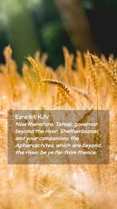 Picture 02 - Ezra 6:6 KJV Mobile Phone Wallpaper - Now therefore, Tatnai, governor beyond the river, - Mobile Bible Verse Wallpaper