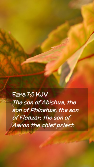 Picture 02 - Ezra 7:5 KJV Mobile Phone Wallpaper - The son of Abishua, the son of Phinehas, the son - Mobile Bible Verse Wallpaper