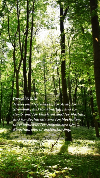 Picture 02 - Ezra 8:16 KJV Mobile Phone Wallpaper - Then sent I for Eliezer, for Ariel, for Shemaiah, - Mobile Bible Verse Wallpaper