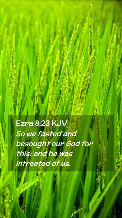 Picture 02 - Ezra 8:23 KJV Mobile Phone Wallpaper - So we fasted and besought our God for this: and - Mobile Bible Verse Wallpaper