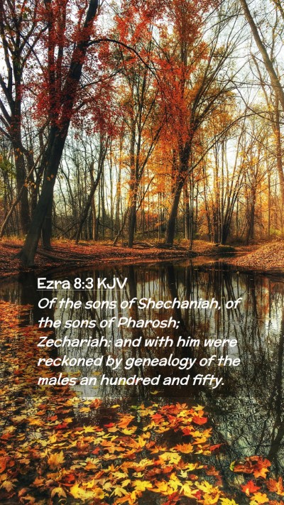 Picture 02 - Ezra 8:3 KJV Mobile Phone Wallpaper - Of the sons of Shechaniah, of the sons of - Mobile Bible Verse Wallpaper