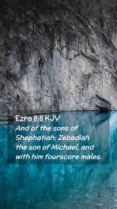 Picture 02 - Ezra 8:8 KJV Mobile Phone Wallpaper - And of the sons of Shephatiah; Zebadiah the son - Mobile Bible Verse Wallpaper