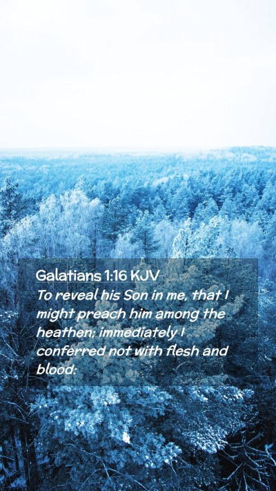 Picture 02 - Galatians 1:16 KJV Mobile Phone Wallpaper - To reveal his Son in me, that I might preach him - Mobile Bible Verse Wallpaper