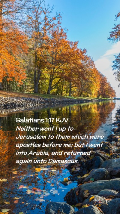 Picture 02 - Galatians 1:17 KJV Mobile Phone Wallpaper - Neither went I up to Jerusalem to them which were - Mobile Bible Verse Wallpaper
