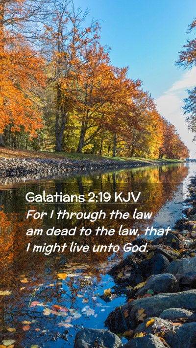 Picture 02 - Galatians 2:19 KJV Mobile Phone Wallpaper - For I through the law am dead to the law, that I - Mobile Bible Verse Wallpaper