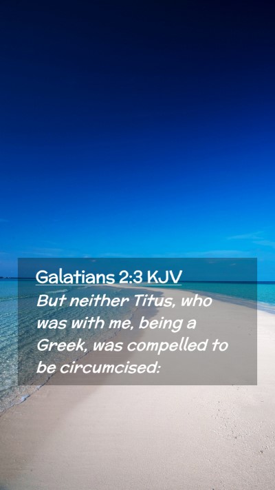 Picture 02 - Galatians 2:3 KJV Mobile Phone Wallpaper - But neither Titus, who was with me, being a - Mobile Bible Verse Wallpaper