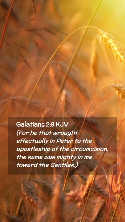 Picture 02 - Galatians 2:8 KJV Mobile Phone Wallpaper - (For he that wrought effectually in Peter to the - Mobile Bible Verse Wallpaper