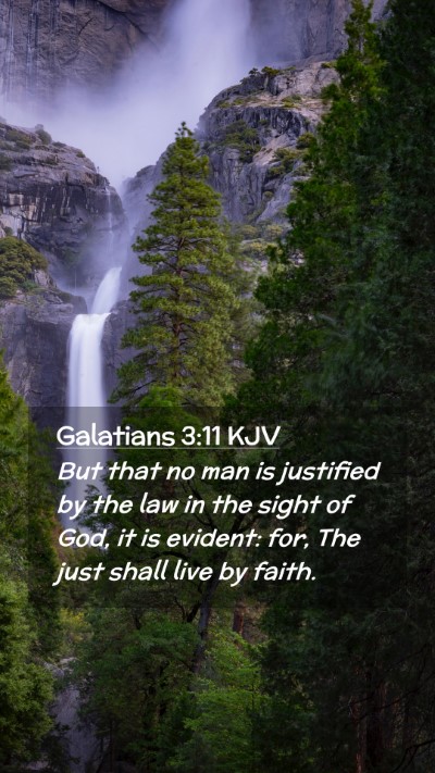 Picture 02 - Galatians 3:11 KJV Mobile Phone Wallpaper - But that no man is justified by the law in the - Mobile Bible Verse Wallpaper