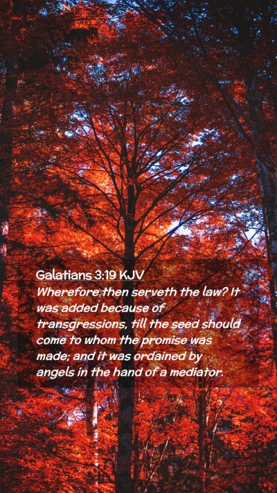 Picture 02 - Galatians 3:19 KJV Mobile Phone Wallpaper - Wherefore then serveth the law? It was added - Mobile Bible Verse Wallpaper