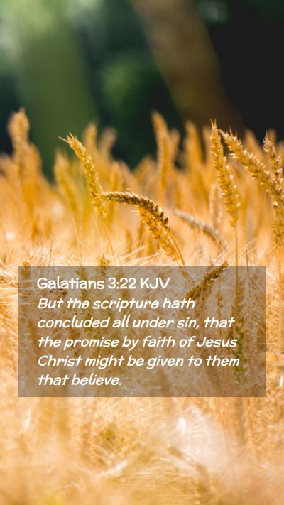 Picture 02 - Galatians 3:22 KJV Mobile Phone Wallpaper - But the scripture hath concluded all under sin, - Mobile Bible Verse Wallpaper