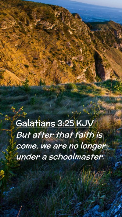 Picture 02 - Galatians 3:25 KJV Mobile Phone Wallpaper - But after that faith is come, we are no longer - Mobile Bible Verse Wallpaper