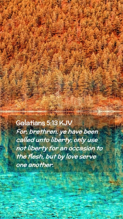 Picture 02 - Galatians 5:13 KJV Mobile Phone Wallpaper - For, brethren, ye have been called unto liberty; - Mobile Bible Verse Wallpaper