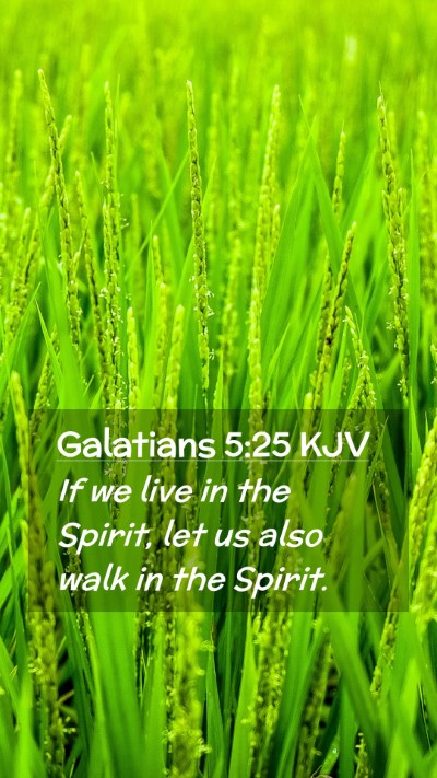 Picture 02 - Galatians 5:25 KJV Mobile Phone Wallpaper - If we live in the Spirit, let us also walk in the - Mobile Bible Verse Wallpaper