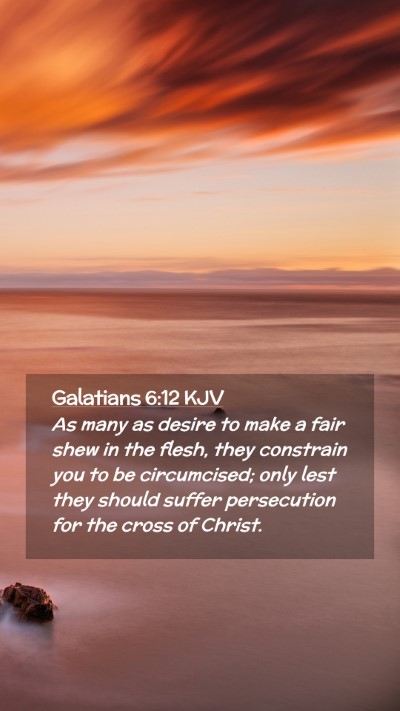 Picture 02 - Galatians 6:12 KJV Mobile Phone Wallpaper - As many as desire to make a fair shew in the - Mobile Bible Verse Wallpaper
