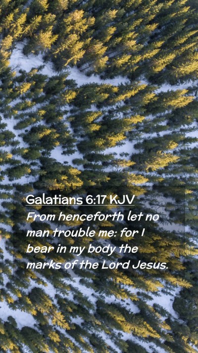 Picture 02 - Galatians 6:17 KJV Mobile Phone Wallpaper - From henceforth let no man trouble me: for I bear - Mobile Bible Verse Wallpaper
