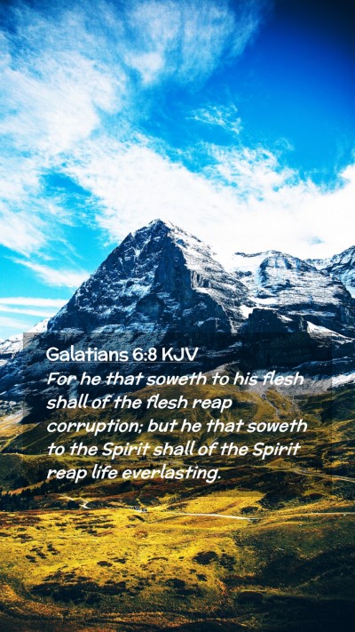 Picture 02 - Galatians 6:8 KJV Mobile Phone Wallpaper - For he that soweth to his flesh shall of the - Mobile Bible Verse Wallpaper