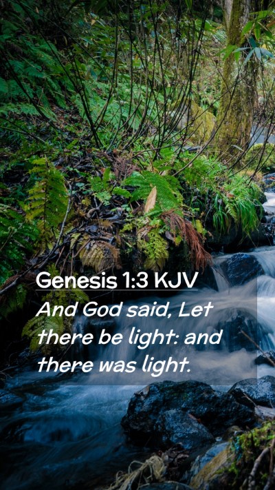 Picture 02 - Genesis 1:3 KJV Mobile Phone Wallpaper - And God said, Let there be light: and there was - Mobile Bible Verse Wallpaper