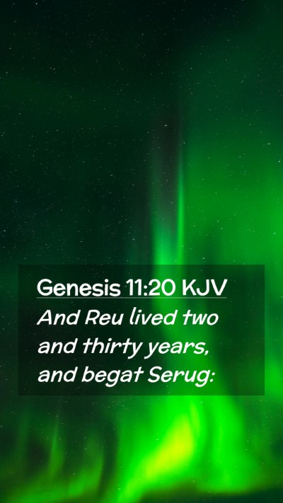 Picture 02 - Genesis 11:20 KJV Mobile Phone Wallpaper - And Reu lived two and thirty years, and begat - Mobile Bible Verse Wallpaper