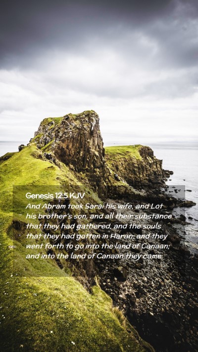 Picture 02 - Genesis 12:5 KJV Mobile Phone Wallpaper - And Abram took Sarai his wife, and Lot his - Mobile Bible Verse Wallpaper