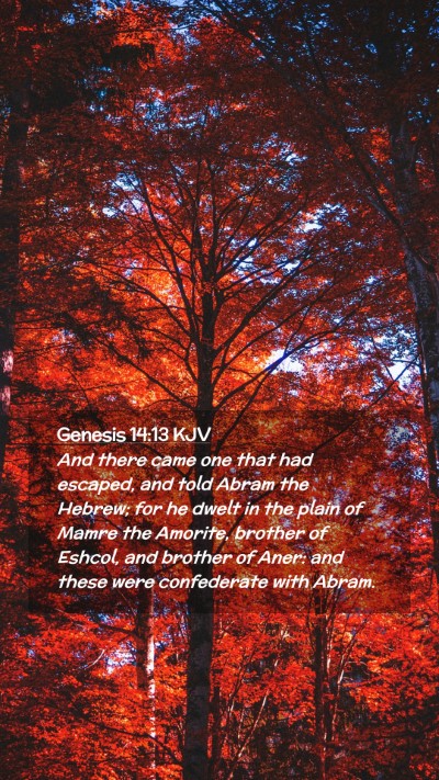 Picture 02 - Genesis 14:13 KJV Mobile Phone Wallpaper - And there came one that had escaped, and told - Mobile Bible Verse Wallpaper