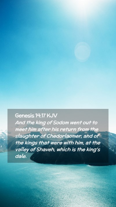 Picture 02 - Genesis 14:17 KJV Mobile Phone Wallpaper - And the king of Sodom went out to meet him after - Mobile Bible Verse Wallpaper