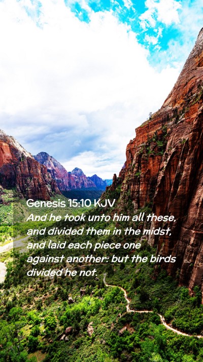 Picture 02 - Genesis 15:10 KJV Mobile Phone Wallpaper - And he took unto him all these, and divided them - Mobile Bible Verse Wallpaper